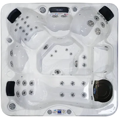 Avalon EC-849L hot tubs for sale in Winnipeg