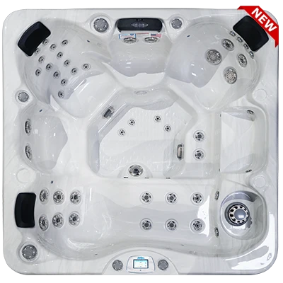 Avalon-X EC-849LX hot tubs for sale in Winnipeg